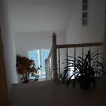 Im 