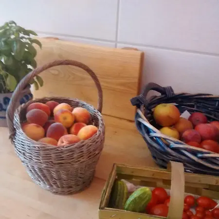 Im Alten Pfarrhaus In Am Havel-radweg Apartment Schmergow