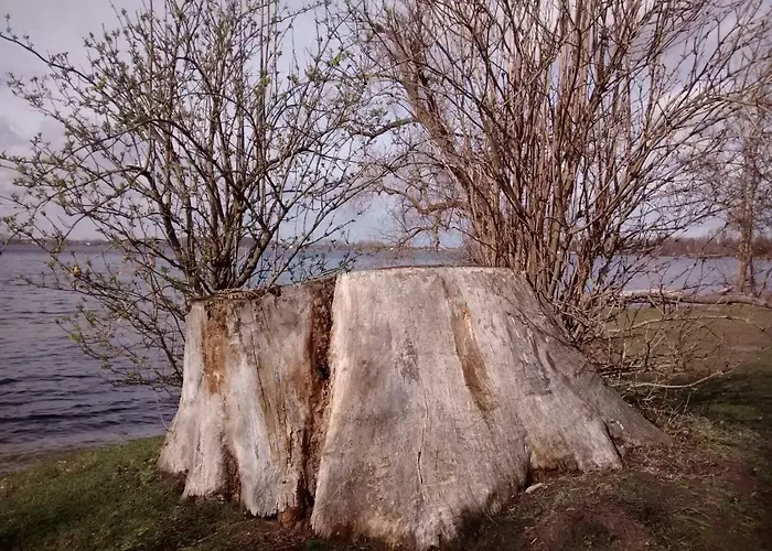 Apartment Im Alten Pfarrhaus In Am Havel-radweg Schmergow