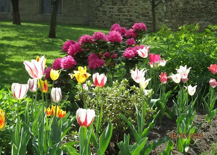 Apartment Im Alten Pfarrhaus In Am Havel-radweg Schmergow